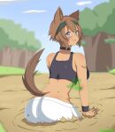  2020 ace_of_bros animal_ears big_breasts blue_eyes blue_sky blurred_background blush bottomwear breasts brown_hair butt clothing dated embarrassed female feral hair hi_res humanoid looking_back mud plant shorts sky solo tail tree 