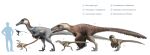  2017 absurd_res ambiguous_gender austroraptor beak biped brown_body brown_feathers cc-by-sa chart creative_commons deinonychus digital_media_(artwork) dinosaur dromaeosaurid dromaeosaurus feathered_dinosaur feathers feet feral flying fredthedinosaurman group hi_res human mammal microraptor nude on_one_leg open_mouth reptile scalie sharp_teeth side_view silhouette simple_background size_chart size_difference standing tail talons teeth theropod toes utahraptor velociraptor white_background 