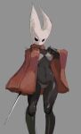  2023 anthro arthropod black_body bra cloak clothed clothing ebbedrawin fecharis female hi_res hollow_knight hornet_(hollow_knight) panties portrait solo team_cherry three-quarter_portrait underwear 