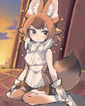  1girl animal_ears brown_eyes brown_hair dhole_(kemono_friends) extra_ears gloves highres kanmoku-san kemono_friends kemono_friends_3 kneehighs looking_at_viewer scarf shirt shoes short_hair sitting skirt sleeveless sleeveless_shirt socks solo tail wolf_ears wolf_girl wolf_tail 