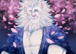  1boy animal_ears bara blue_kimono blush cherry_blossoms chest_tuft daisukebear falling_petals furry furry_male green_eyes japanese_clothes kimono large_pectorals lion_boy lion_ears male_focus mane mature_male monocle muscular muscular_male nipple_slip nipples open_clothes open_kimono pectoral_cleavage pectorals petals smile snow_(housamo) solo straight-on thick_eyebrows tokyo_afterschool_summoners upper_body whiskers white_fur white_hair 