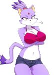  2023 anthro arm_under_breasts big_breasts blaze_the_cat bottomwear breasts clothing collarbone crossed_arms domestic_cat eyebrows eyelashes felid feline felis female fur hi_res looking_at_viewer mammal midriff navel purple_body purple_fur sega shorts shoulder_tuft solo sonic_the_hedgehog_(series) topwear tuft unimpressed white_body white_fur yellow_eyes zekkymzn 