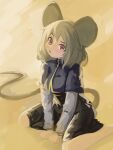  1girl absurdres animal_ears black_dress brown_background capelet dress full_body grey_capelet grey_hair highres lenserd long_sleeves looking_at_viewer mouse_ears mouse_girl mouse_tail nazrin open_mouth red_eyes short_hair sitting solo tail touhou wariza 