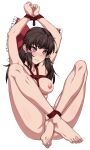  1girl barefoot bdsm blush bow breasts brown_eyes brown_hair closed_mouth completely_nude frilled_bow frilled_hair_tubes frills full_body hair_bow hair_tubes hakurei_reimu long_hair looking_away medium_breasts nipples nude ootsuki_wataru red_bow red_rope rope shibari simple_background sitting solo toenails toes touhou transparent_background 