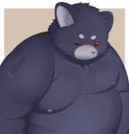  2023 anthro belly big_belly black_nose bodily_fluids domestic_cat felid feline felis hi_res kemono male mammal moobs nipples overweight overweight_male simple_background solo sweat trail_arnak 