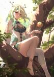  1girl apple ardenlolo barefoot blush breasts ceres_fauna ceres_fauna_(1st_costume) cleavage cleavage_cutout clothing_cutout dress feet flower food fruit golden_apple green_dress green_hair hair_flower hair_ornament hololive hololive_english in_tree large_breasts long_hair looking_at_viewer mole mole_under_eye on_tree single_thighhigh sitting sitting_in_tree solo thighhighs tree virtual_youtuber white_thighhighs yellow_eyes 