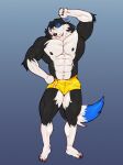  abs anthro blue_body blue_fur border_collie boxers_(clothing) canid canine canis clothing collie domestic_dog floppy_ears fur glistening glistening_body herding_dog hi_res kinaruoopsy male mammal mason_(trivolmckenley) muscular muscular_male pastoral_dog pinup pose sheepdog underwear 