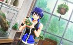  1boy ahoge bandaid bandaid_on_cheek bandaid_on_face black_wristband blue_eyes blue_hair branch fingernails highres holding holding_jar idolmaster idolmaster_side-m idolmaster_side-m_live_on_stage! jar male_focus plant potted_plant taiga_takeru 