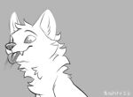  ambiguous_gender animated canid canine feral hioshiru licking mammal sketch solo tongue tongue_out traditional_media_(artwork) whiskers 