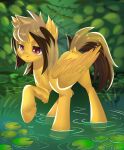  absurd_res ambiguous_gender brown_eyes brown_hair brown_mane brown_tail cheek_tuft digital_media_(artwork) dock ear_tuft equid equine facial_tuft fan_character feathered_wings feathers fetlocks fur grass hair half-closed_eyes hasbro hi_res hooves leg_tuft lily_pad mammal mane multicolored_hair my_little_pony narrowed_eyes pegasus plant raised_hoof solo tail tuft two_tone_hair two_tone_tail water wings xvostik yellow_body yellow_feathers yellow_fur 