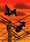  absurdres animal_focus bird bright_pupils cloud dusk from_below highres murkrow nankyoku_(antarctic_poke) no_humans orange_sky outdoors pokemon pokemon_(creature) power_lines red_eyes signature sky talons utility_pole white_pupils 