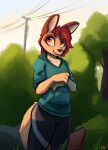  2023 absurd_res anthro black_nose canid canine canis clothed clothing cloud detailed_background digital_media_(artwork) enginetrap female fully_clothed fur grass hair hi_res hoodie jackal mammal outside plant red_hair sky smile solo standing syl_(enginetrap) tan_body tan_fur topwear tree 