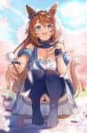  1girl absurdres animal_ears bare_shoulders blue_eyes blue_sky blue_thighhighs breasts brown_hair cleavage commentary_request da-cart dated day happy_birthday highres holding horse_ears long_hair looking_at_viewer mimikaki open_mouth sky solo squatting super_creek_(umamusume) thighhighs umamusume very_long_hair 