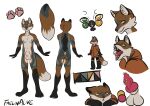  absurd_res anthro artist_name balls canid canine faelinalive fox genital_piercing genitals hi_res humanoid male mammal model_sheet nipples penis penis_piercing piercing solo 