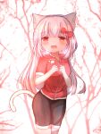  1girl animal_ear_fluff animal_ears black_shorts blurry blurry_background bow cat_ears cat_tail chinese_commentary commentary_request hair_bow highres long_hair looking_at_viewer open_mouth original outdoorstree paw_print red_bow red_eyes rune_xiao short_sleeves shorts standing tail white_hair 