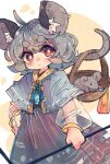  1girl ahoge animal_ears black_dress capelet closed_mouth dowsing_rod dress grey_capelet grey_hair highres jewelry long_sleeves mame_komari mouse_ears mouse_tail nazrin pendant red_eyes short_hair solo tail touhou twitter_username 