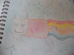  cat chimputan grey_fur non-web_source nyan_cat rainbow 