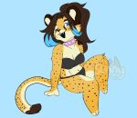  animal_print anthro bikini cheetah cheetah_print chibi clothing collar felid feline female kaylee_(arcticsnowfex) looking_at_viewer mammal markings pantherine sitting slightly_chubby solo spiked_collar spikes spots spotted_markings sunny666 swimwear 