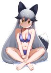  1girl absurdres animal_ears bare_arms bare_legs bare_shoulders barefoot bikini black_hair blue_bikini breasts cleavage commentary crossed_ankles extra_ears feet fox_ears fox_girl fox_tail full_body gradient_hair grey_hair hair_between_eyes highres kemono_friends long_hair looking_at_viewer masuyama_ryou medium_breasts multicolored_hair navel orange_eyes silver_fox_(kemono_friends) simple_background sitting smile solo swimsuit tail toes v_arms very_long_hair white_background 