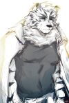  1boy animal_ears arknights bara black_tank_top christory_yyb coat coat_on_shoulders covered_navel furry furry_male highres looking_to_the_side male_focus mountain_(arknights) pectorals short_hair sketch solo tank_top tiger_boy tiger_ears white_fur 