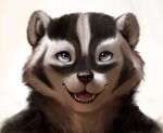  badger female furrykxc hi_res mammal mustelid musteline 