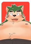  absurd_res anthro belly blush canid canine canis domestic_dog eyebrows fur green_body green_fur hi_res lifewonders live_a_hero looking_at_viewer low-angle_view male mammal mokdai moobs navel nipples overweight penguin0700 solo thick_eyebrows 