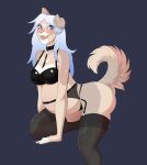  2023 absurd_res anthro belly bindweed_(artist) blue_background blue_eyes blue_hair blush bra breasts brown_body brown_fur butt canid canine canis claws cleavage clothed clothing collar curled_tail domestic_dog eyebrows eyelashes fangs female finger_claws fingers floppy_ears fluffy fluffy_tail fur garter_belt garter_straps glistening glistening_clothing hair hi_res kneeling leaning leaning_forward legwear lingerie long_hair looking_at_viewer luna_yaeger mammal markings moon_(marking) open_mouth panties piercing pink_nose pregnant pregnant_female simple_background solo spots star_(marking) stockings tail tan_body tan_fur teeth thick_thighs three-quarter_view tongue tongue_piercing underwear white_body white_fur 