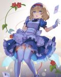  1girl alice_(alice_in_wonderland) alice_(alice_in_wonderland)_(cosplay) alice_in_wonderland alice_margatroid alternate_costume apron ascot backlighting black_ribbon blonde_hair bloomers blue_dress blue_eyes blue_skirt blush bow breasts card commentary cosplay dress eyes_visible_through_hair falken_(yutozin) flower frills garter_straps gloves hairband highres knees_together_feet_apart lingerie lolita_hairband looking_at_viewer maid maid_apron mary_janes medium_breasts open_mouth photoshop_(medium) plant playing_card puffy_short_sleeves puffy_sleeves red_flower red_rose revision ribbon rose sash shoes short_hair short_sleeves skirt solo standing thighhighs touhou underwear white_gloves white_thighhighs zettai_ryouiki 