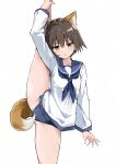  1girl animal_ear_fluff animal_ears arm_up blue_one-piece_swimsuit brown_eyes brown_hair dog_ears dog_girl dog_tail flexible highres holding_leg leg_hold leg_lift leg_up legs miyafuji_yoshika no_pants old_school_swimsuit one-piece_swimsuit rauto school_swimsuit school_uniform serafuku shirt short_hair solo split standing standing_on_one_leg standing_split strike_witches swimsuit swimsuit_under_clothes tail thighs white_serafuku white_shirt world_witches_series 