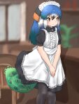  1girl alternate_costume apron bird_girl bird_tail bird_wings black_dress black_hair black_pantyhose black_skirt blue_hair blush brown_eyes center_frills collar cowboy_shot dress enmaided frilled_apron frilled_collar frills green_hair head_wings high_collar highres kemono_friends kemono_friends_3 long_hair maid maid_apron maid_headdress multicolored_hair orange_hair pantyhose peacock_feathers peafowl_(kemono_friends) puffy_short_sleeves puffy_sleeves short_sleeves sidelocks skirt smile solo tail uf34a white_apron wings 