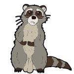  1:1 alpha_channel animal_genitalia balls fangs feral genitals male mammal procyonid raccoon sheath simple_background solo solo_focus teeth tiny_terrible transparent_background 
