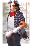  anthro blue_merle border_collie bottomwear bulge canid canine canis clothed clothing collie domestic_dog dressing flannel_shirt floppy_ears fully_clothed fur genital_outline herding_dog heterochromia hi_res male mammal meme mgangalion multicolored_body multicolored_fur neckerchief pants pastoral_dog penis_outline sheepdog solo tight_pants_(meme) underwear 