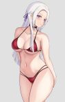  1girl alternate_costume bare_arms bare_legs bikini black_choker blush breasts choker cleavage closed_mouth collarbone cowboy_shot edelgard_von_hresvelg fire_emblem fire_emblem:_three_houses groin halterneck highres large_breasts long_hair looking_at_viewer navel red_bikini sideboob sidelocks simple_background sleeptopi smile solo standing stomach string_bikini swimsuit thighs underboob violet_eyes white_background white_hair 