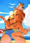  1boy absurdres animal_ears ass_peek bara beach blue_male_swimwear feet_out_of_frame from_behind furry furry_male highres kellogg&#039;s looking_at_viewer looking_back male_focus male_swimwear male_swimwear_pull muscular muscular_male sanpaku short_hair solo swim_briefs tail thick_eyebrows thighs tiger_boy tiger_ears tony_the_tiger topless_male yuuko_(yuuko891) 