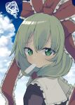  1girl blue_sky cloud commentary_request food_in_mouth frilled_ribbon frills front_ponytail green_eyes green_hair hair_ribbon kagiyama_hina looking_at_viewer medium_hair popsicle_in_mouth red_ribbon ribbon sky solo squiggle touhou upper_body yamase 