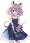  1girl animal_ears backlighting basket biyon black_dress blue_flower closed_mouth dress flower grey_hair highres holding holding_basket looking_at_viewer mouse_ears mouse_tail nazrin petticoat red_eyes red_flower short_hair short_sleeves simple_background smile solo tail touhou white_background 