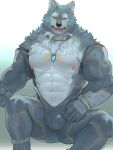  abs anthro blue_body blue_eyes blue_fur bodysuit breke bulge canid canine canis clothing collar fur lifewonders male mammal muscular muscular_anthro muscular_male navel nipples pecs salz_sop skinsuit solo tight_clothing tokyo_afterschool_summoners unzipped_bodysuit wolf 