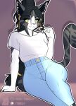  anthro blush bottomwear clothing denim denim_clothing domestic_cat felid feline felis female invalid_tag jeans mammal pants shirt smile solo tenkelly topwear 