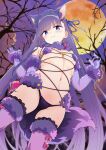  1girl absurdres animal_ears bare_tree blue_eyes blue_ribbon breasts closed_mouth cosplay elbow_gloves fate/grand_order fate_(series) from_below full_moon fur-trimmed_gloves fur-trimmed_legwear fur-trimmed_thighhighs fur_bikini fur_collar fur_trim gloves hair_ribbon halloween_costume highres lace-trimmed_legwear lace_trim long_hair looking_at_viewer mash_kyrielight mash_kyrielight_(dangerous_beast) mash_kyrielight_(dangerous_beast)_(cosplay) meltryllis_(fate) moon navel night night_sky o-ring o-ring_top purple_gloves purple_hair purple_tail purple_thighhighs revealing_clothes ribbon sky small_breasts smile solo sweatdrop tail thighhighs tree waira wolf_ears wolf_tail 