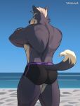  2023 absurd_res anthro back_muscles barazoku beach big_butt big_muscles butt canid canine canis clothed clothing crossed_arms day eyebrows fur hair hi_res looking_at_viewer looking_back looking_back_at_viewer male mammal muscular muscular_anthro muscular_male nintendo rear_view sand scar seaside shugggie signature sky solo standing star_fox thick_thighs topless topless_anthro topless_male tuft underwear underwear_only water wolf wolf_o&#039;donnell 