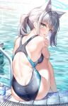  1girl animal_ear_fluff animal_ears ass back bare_arms bare_shoulders blue_archive blue_eyes blush bottle breasts commentary_request competition_swimsuit cross_hair_ornament crossed_arms extra_ears from_behind fujima_takuya grey_hair hair_ornament halo hand_on_own_arm highleg highleg_swimsuit looking_at_viewer medium_breasts mismatched_pupils multicolored_clothes multicolored_swimsuit official_alternate_costume one-piece_swimsuit open_mouth pool poolside self_hug shiroko_(blue_archive) shiroko_(swimsuit)_(blue_archive) sitting solo swimsuit wading water water_bottle wet wolf_ears 
