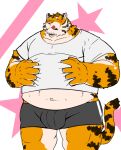  2023 anthro araiguma_11 belly big_belly blush bulge clothing eyes_closed felid humanoid_hands kemono male mammal overweight overweight_male pantherine shirt solo tiger tongue tongue_out topwear underwear 