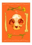  animal_skull artist_name bone commentary english_commentary english_text flower gatoiberico highres no_humans orange_background original simple_background skull yellow_flower 