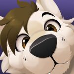  anthro canid canine canis face_focus feve fluffy headshot_portrait icon looking_at_viewer male mammal portrait sabbyth scruffy solo solo_focus wolf 