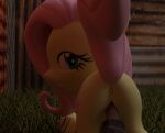  3d_(artwork) bestiality blender_(software) blue_eyes digital_media_(artwork) equid equine female feral flutterbat_(mlp) fluttershy_(mlp) friendship_is_magic hair hasbro horse male male/female mammal my_little_pony night outside pink_hair pony source_filmmaker submissive 