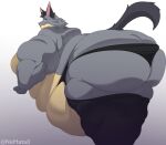  absurd_res anthro black_clothing canid clothing fur hi_res legwear male mammal multicolored_body multicolored_fur nemata0 obese obese_male overweight overweight_male seattle_tarin_(zeemid) solo thigh_highs 