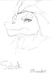  2023 absurd_res artist_name character_name dinosaur feather_hair feathers frowning_at_viewer graphite_(artwork) hi_res looking_at_viewer male pencil_(artwork) pseudo_hair ranoa02 reptile scalie sebek_(adarkpassenger) solo traditional_media_(artwork) 