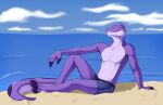  anthro badroy badroy_(character) basking clothing hi_res male reptile scalie sky smile snake solo swimwear 