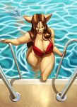  anthro armadillo big_breasts bikini breasts brown_hair cameo cleavage climbing_ladder clothed clothing domestic_cat duo elle_(ooo-belise-ooo) felid feline felis female female_focus hair hi_res long_hair looking_at_viewer male mammal poolside seductive shark_fin swimwear toughset toughset_(character) underwater water wet xenarthran 