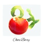 berry border cheri_berry commentary_request food_focus grey_background no_humans pokemon simple_background wafu_pkmn white_background white_border 